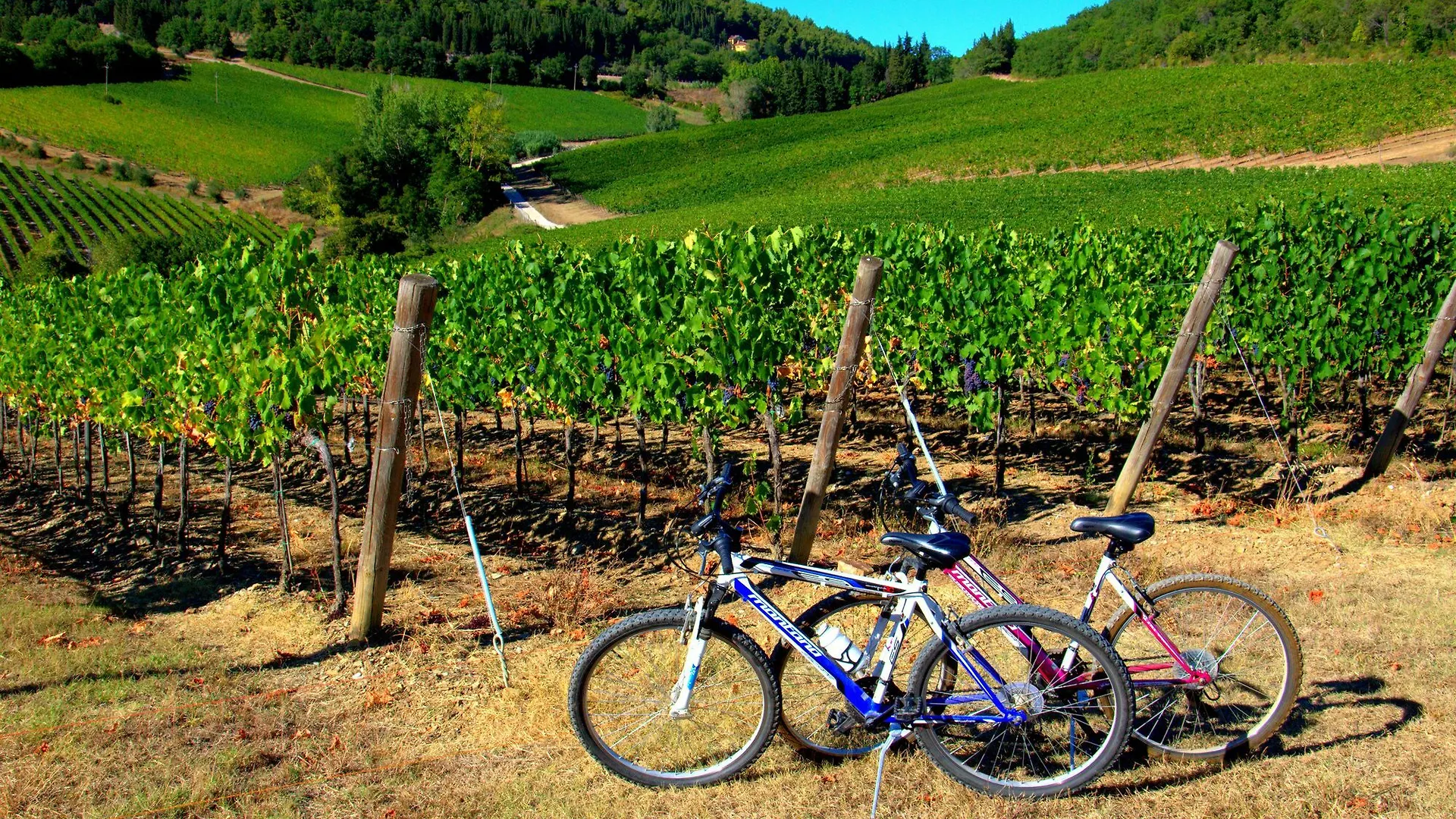 Tavarnelle Val di Pesa Fonte De Medici酒店 Tavarnelle Val di Pesa
